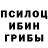 Псилоцибиновые грибы GOLDEN TEACHER Anush Mur