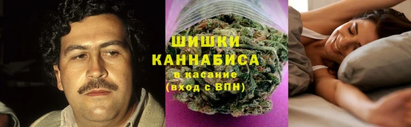 прущие грибы Абаза